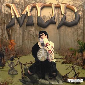 刘亦菲孙俪高圆圆
