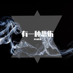 刘亦菲孙俪高圆圆
